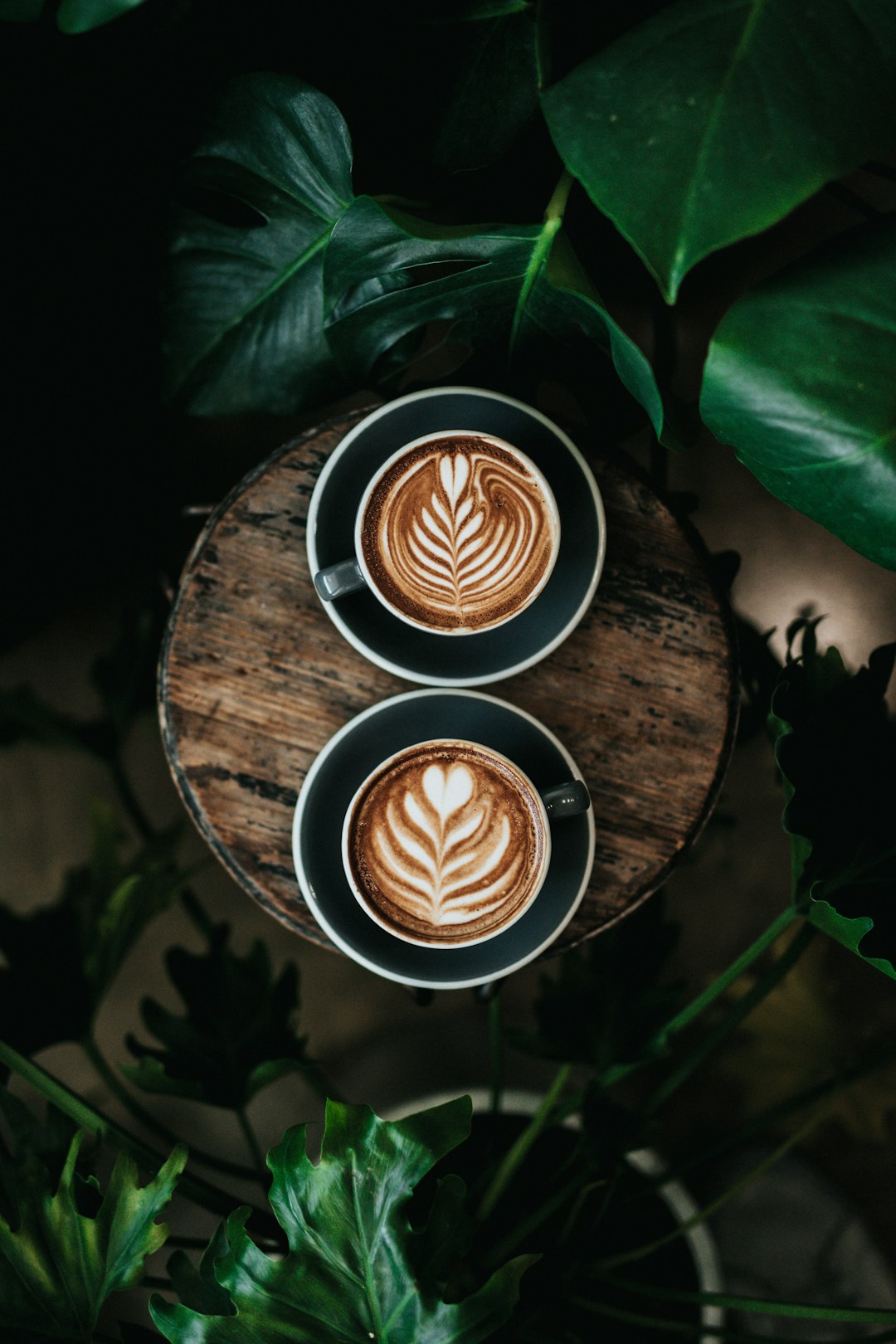 high-angle-photo-of-two-green-mugs-filled-with-coffee-c2y16tc3yo8