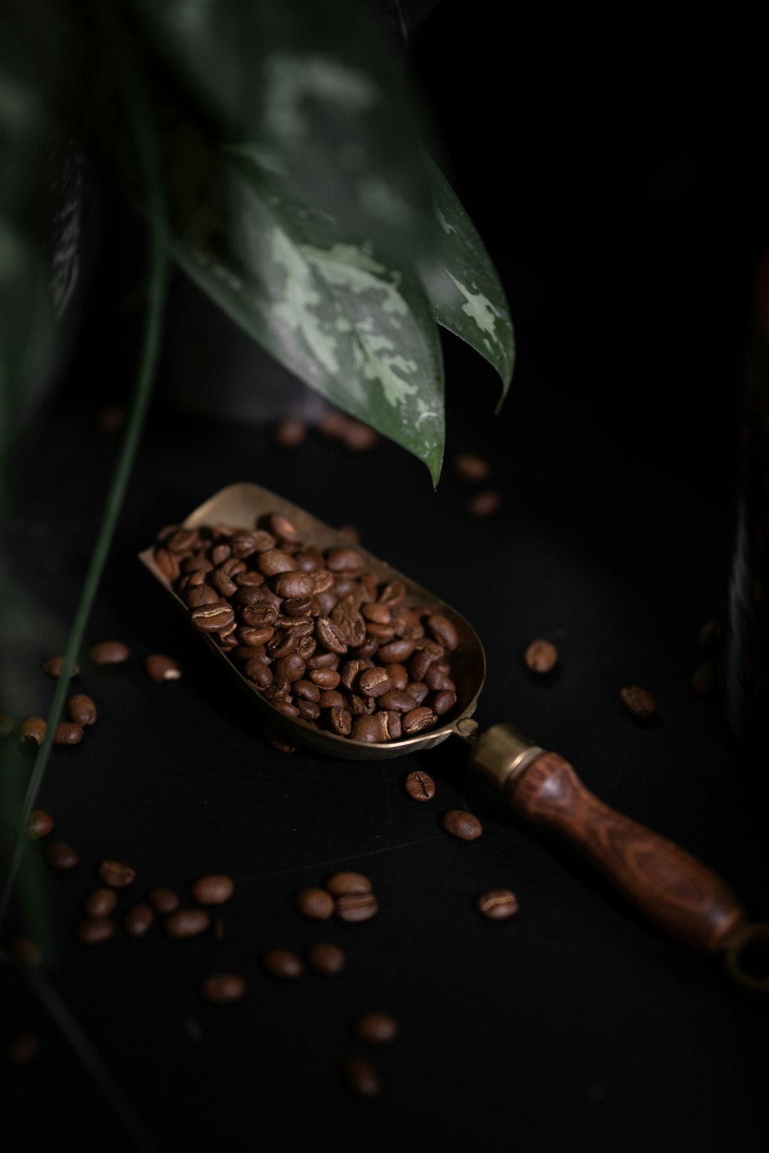 brown-wooden-smoking-pipe-beside-green-leaves-7gtxjnejlwg
